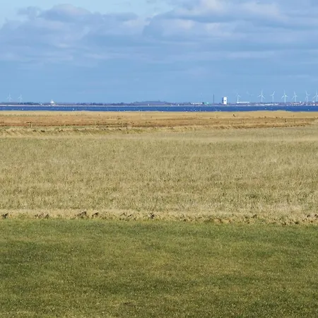 Lovely In Ringkobing With Wifi リンケビング